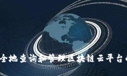 如何安全地查询和管理区块链云平台的密码？