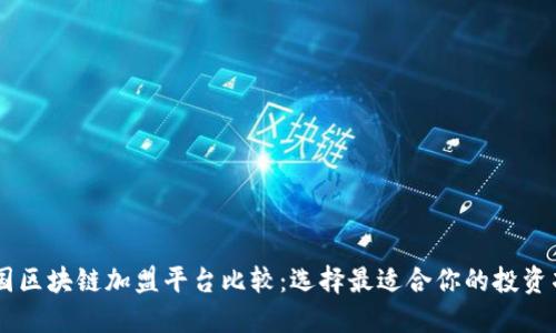 中国区块链加盟平台比较：选择最适合你的投资项目
