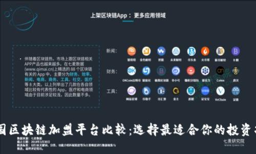 中国区块链加盟平台比较：选择最适合你的投资项目