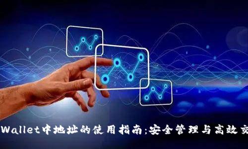 TPWallet中地址的使用指南：安全管理与高效交易