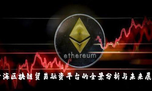 青海区块链贸易融资平台的全景分析与未来展望
