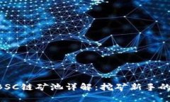 TPWallet BSC链矿池详解：挖矿新手的全方位指南