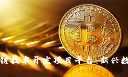 全面解析区块链技术开发项目平台：新兴数字经济的未来