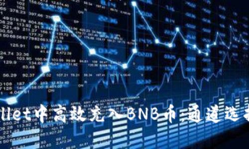 如何在TPWallet中高效充入BNB币：通道选择与操作指南