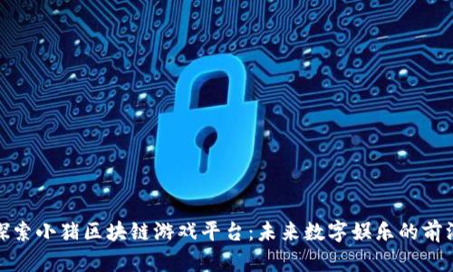 探索小猪区块链游戏平台：未来数字娱乐的前沿