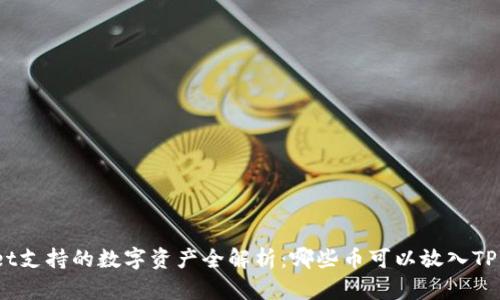 TPWallet支持的数字资产全解析：哪些币可以放入TPWallet？