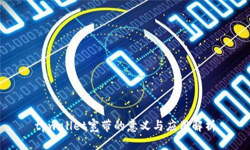 tpwallet宽带的意义与应用解析